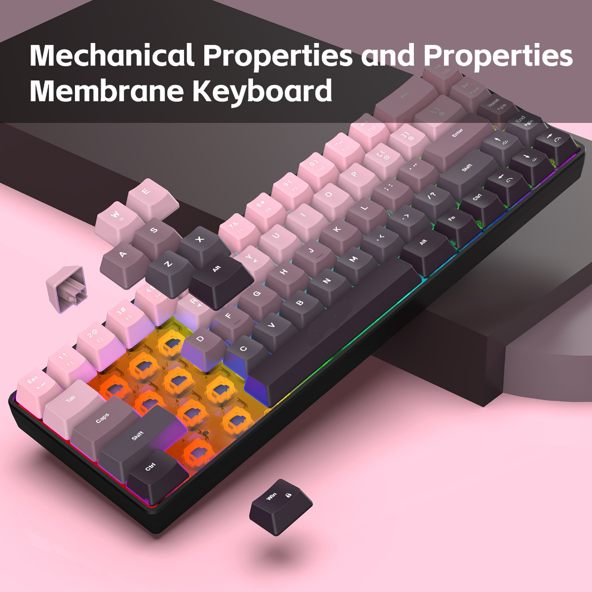 New Compact 68-Key Gradient-Co - Gaming Keyboard Ergonomics incelemesi ve fiyatı